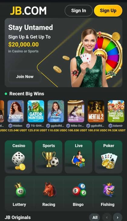 Exploring JB Casino A Premier Gaming Platform in India